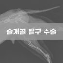 유니온동물의료센터 이미지