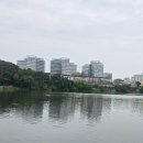 동탄행정사/동탄공인중개사 이미지