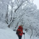 혼저옵서예 이미지