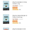 도그팡 이미지