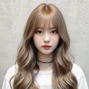 티엔피 이미지