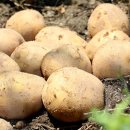 재용농장 이미지