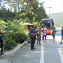 무릉도원면-48 이미지