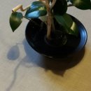 오마이갓돈 이미지