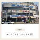 건국동물병원 | 주안 애견미용 잘하는 곳 '건국 본 동물병원'