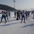 태백시청 이미지