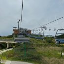 스카이라인루지부산 | 부산 루지 완벽 가이드 : 위치, 가격, 이용 꿀팁 총정리 (스카이라인루지 부산)