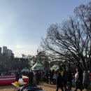 씽씽 | 노원에서 놀자 씽씽눈썰매장 후기!(구민무료입장)