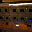 물항포차 이미지