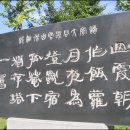 贈寡婦 여인이여..