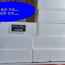 감포항구낚시
