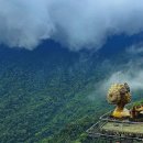 스마트폰 활용 이미지