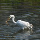 광주광역시야생동물구조관리센터 이미지