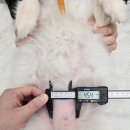 아띠 동물의료센터 이미지