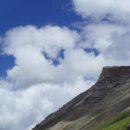 로시난테 이미지