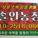 솔안농장 네이버블로그