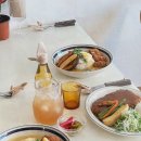 시카고커리 이미지