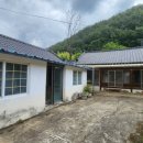 내일1리 이미지