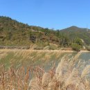 공지산 둘레길 이미지