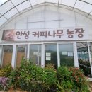 우창농장 이미지