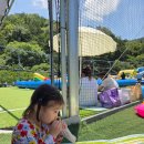 다올스포츠교육