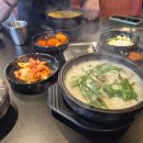 국밥참맛있는집당진 | 군산밥집 국밥 참 맛있는 집 새만금점 방문 후기