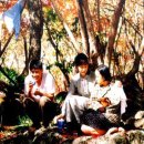 내마음의 풍금 이미지