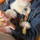 사부작사부작 | 강원도 양양 촌캉스, 애견동반 숙소 사부작사부작 1박 후기