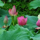 인삼랜드휴게소 이미지