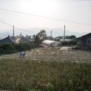 완도읍-5 이미지