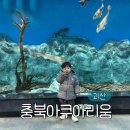 황쏘가리 | 괴산 아이랑 가볼만한곳 충북 아쿠아리움 입장료 무료 후기