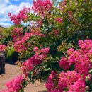 북촌 해동 이미지