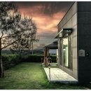 힐링위드독 이미지