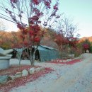 THATS CAMPING 횡성자연휴양림야영장 이미지