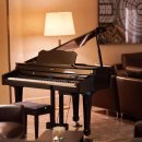 DIANA호텔 이미지