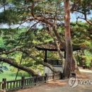 용추매점 이미지