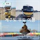 제주도 우도 여행 방법 버스투어 전기차 자전거 스쿠터 대여 (ft.땅콩 아이스크림)