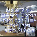 팔용로-2 이미지