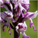 부동산전문행정사사무소 이미지