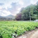 은하부동산중개 이미지