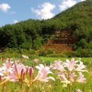 대티골계곡 이미지