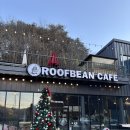 펠리체빈 이미지