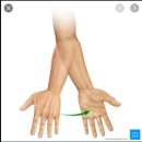 supination은 그냥 supination... 이미지