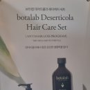 인셀덤RS대전
