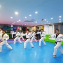 주공태권도 이미지