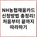 NH농협채움카드 신청방법 총정리! 처음부터 끝까지 따라하기