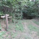 대장금마실길(4코스) 이미지