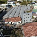 표선리-3 이미지