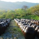 황제(898) 이미지