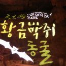 천곡황금박쥐동굴 이미지